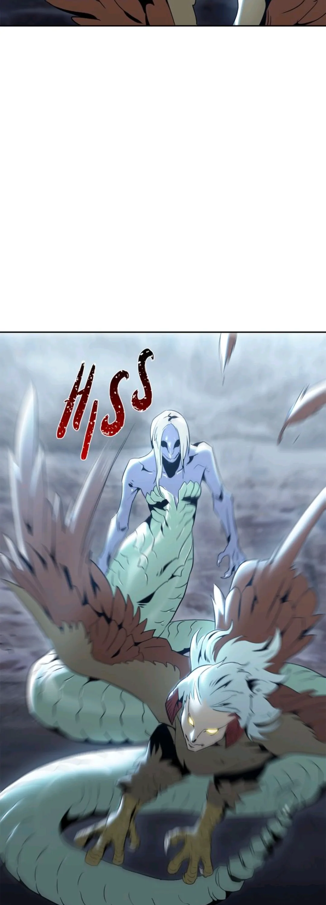 5154578 1080 3000 95236