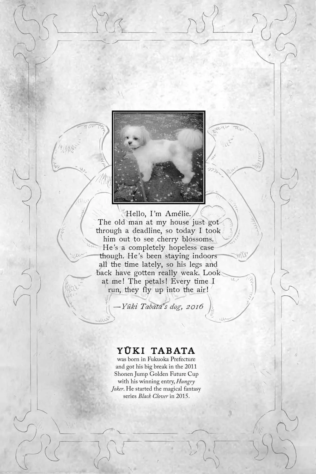 6571439 1056 1584 113380