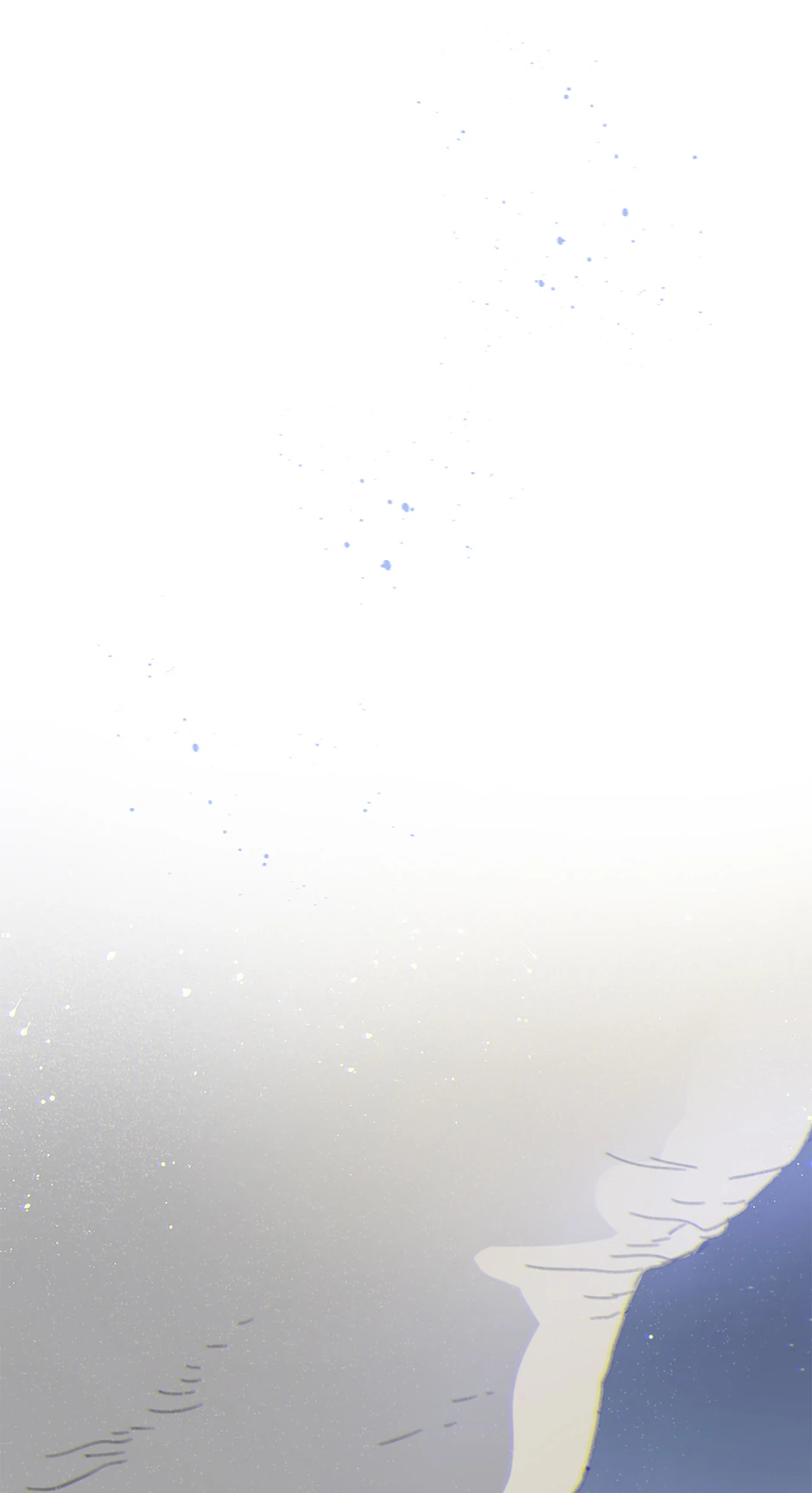 73662574 940 1728 40902