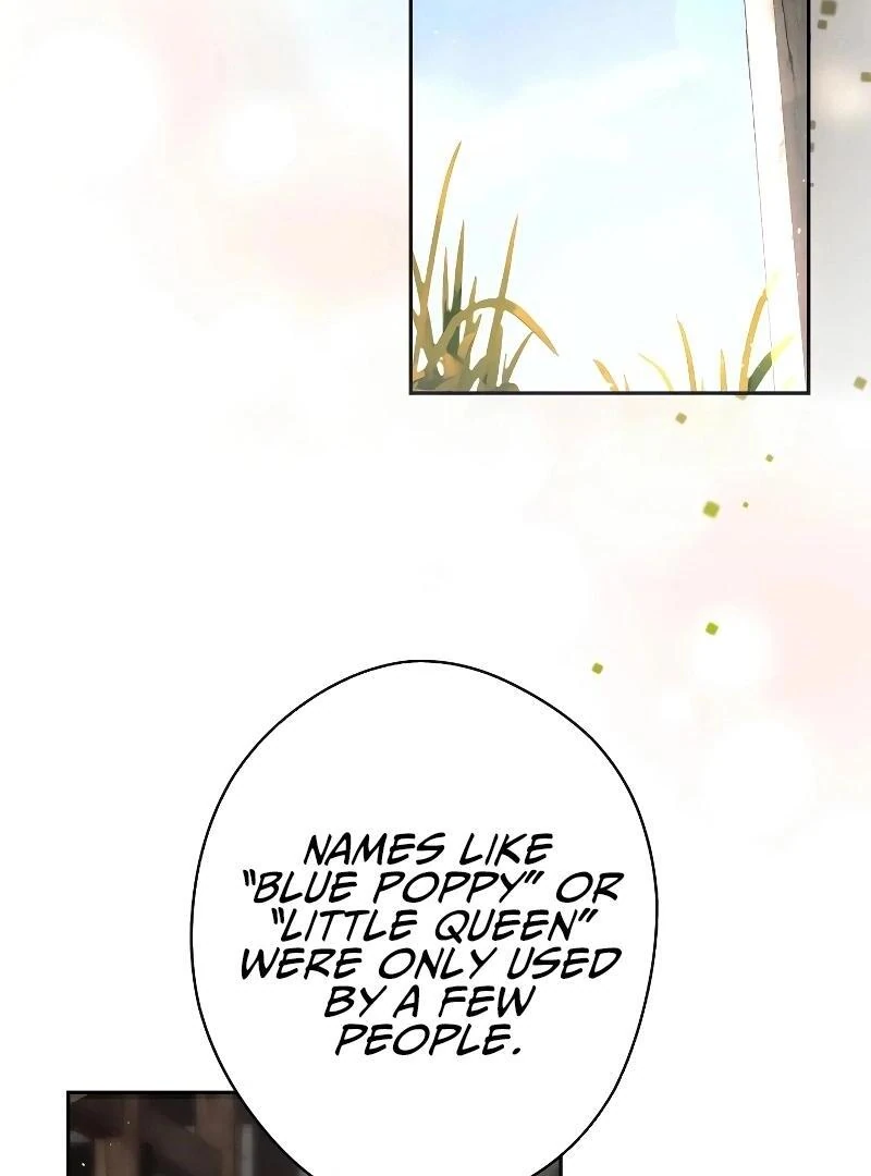 74288230 800 1080 45664